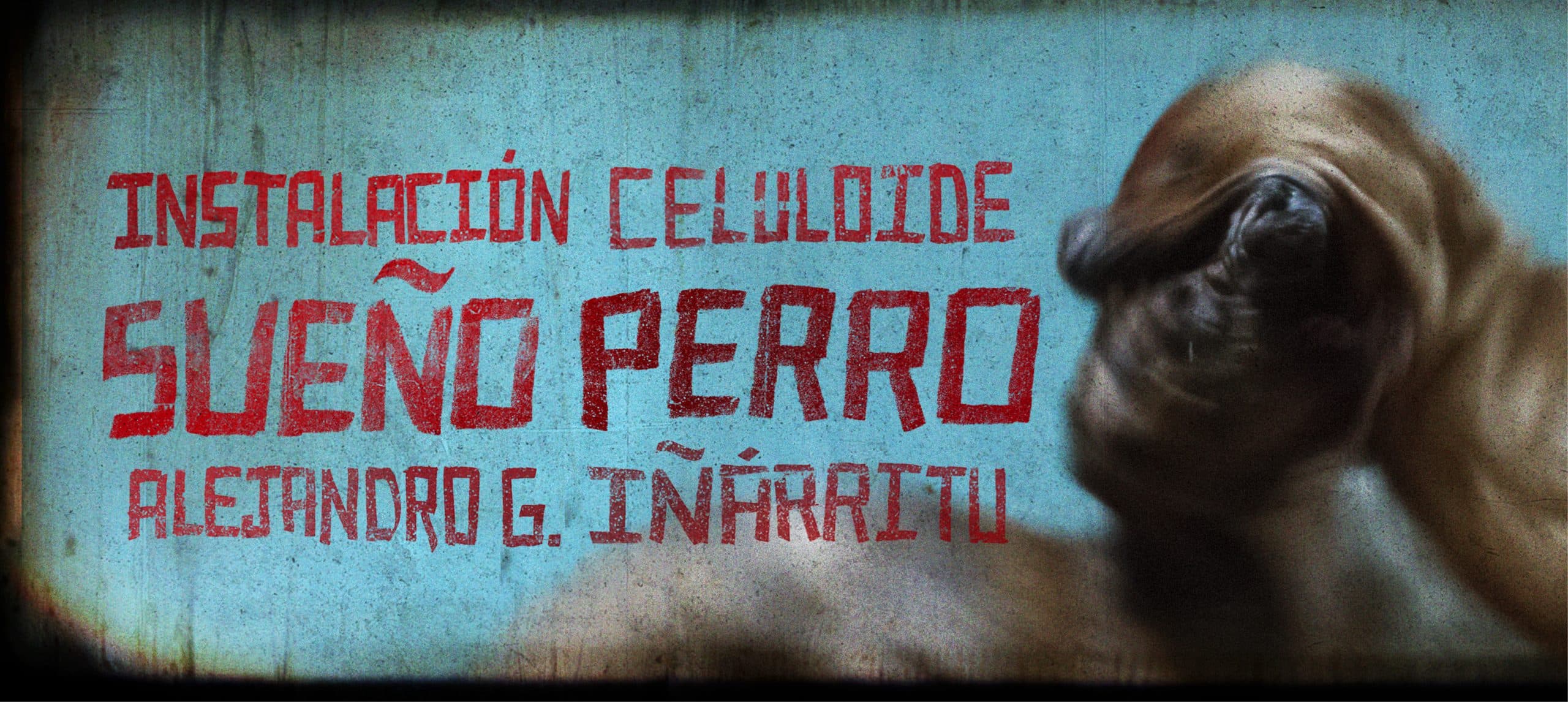 Immagine di copertina per Sueño Perro un'installazione con scene inedite del film Amores Perros