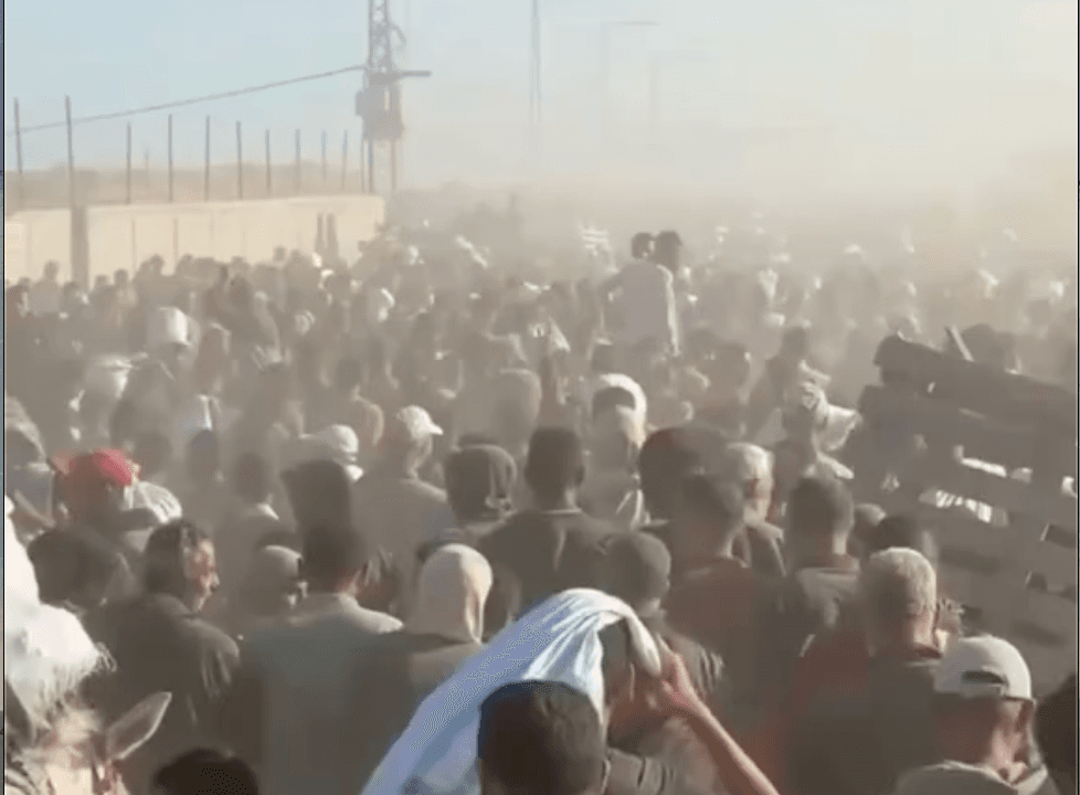 Immagine di copertina per Le donne nelle guerre