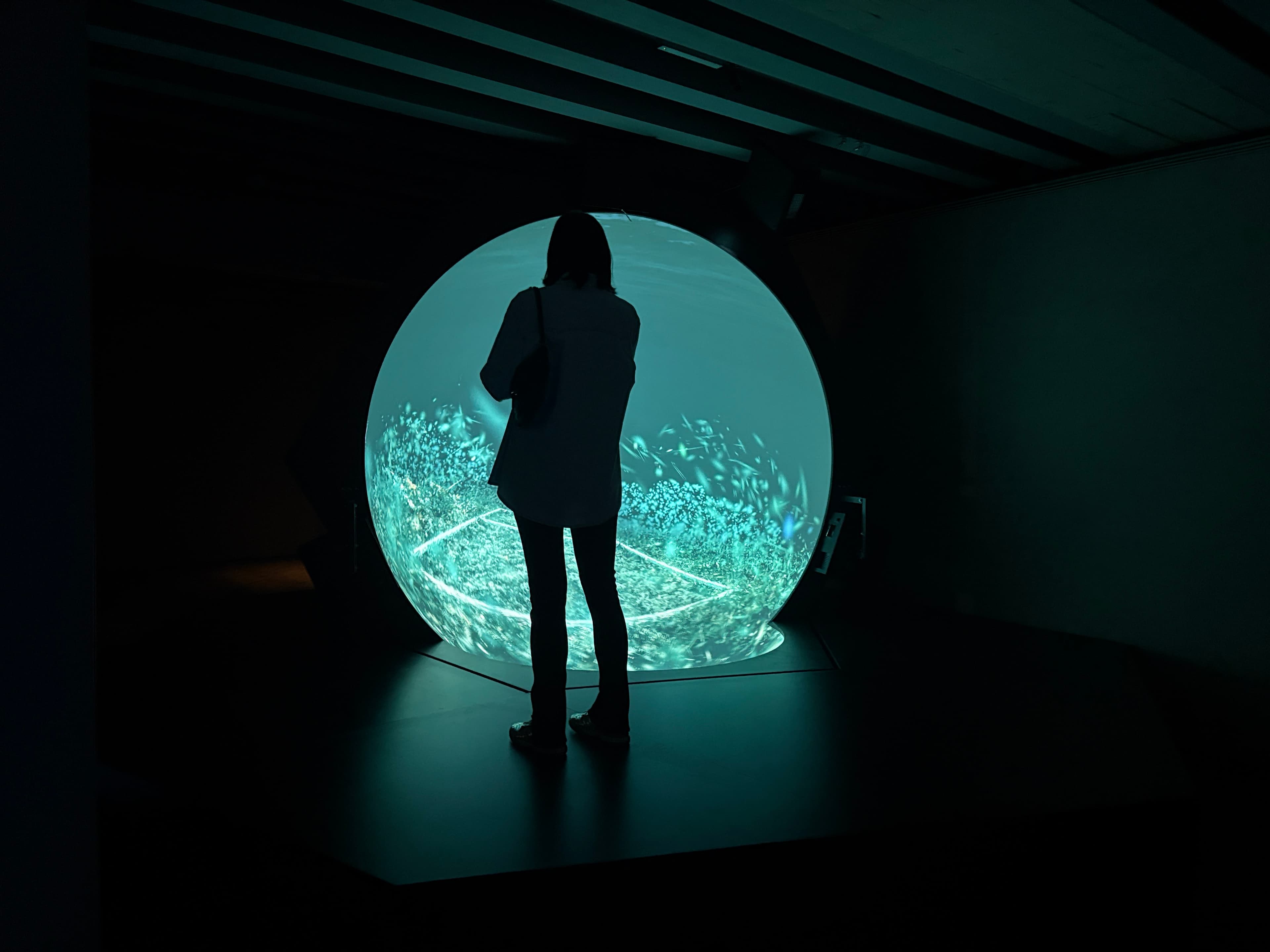 Immagine di copertina per L'inondazione di Hito Steyerl nella mostra The Island, è una scelta