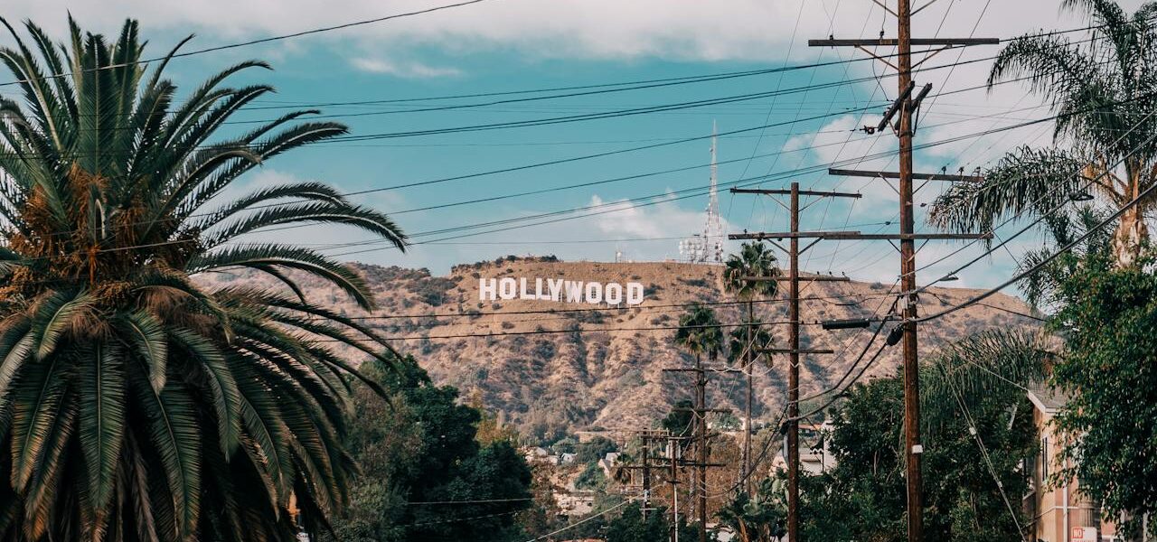 auro su viale di Los Angeles con palme sui due lati, da cui si scorge la scritta Holliwood