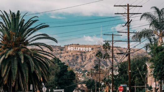 auro su viale di Los Angeles con palme sui due lati, da cui si scorge la scritta Holliwood