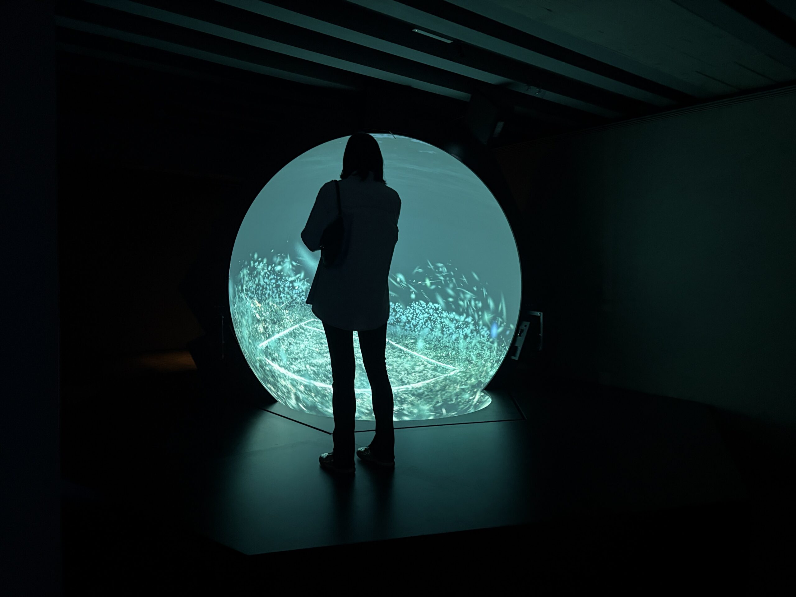 L’inondazione di Hito Steyerl nella mostra The Island, è una scelta