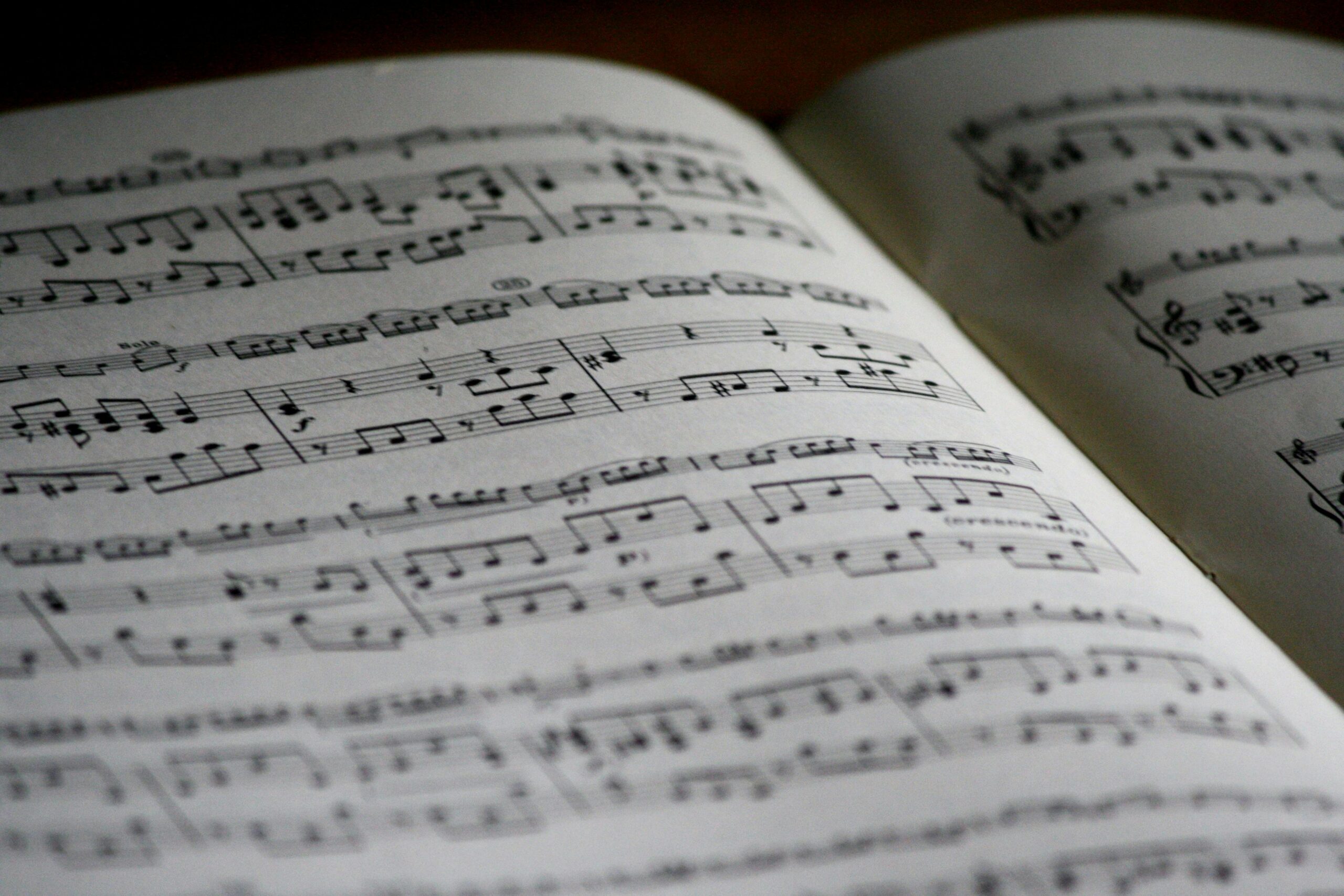 Convegno sulle musiche tradizionali: in che modo i riti fanno del mondo un “posto affidabile”.